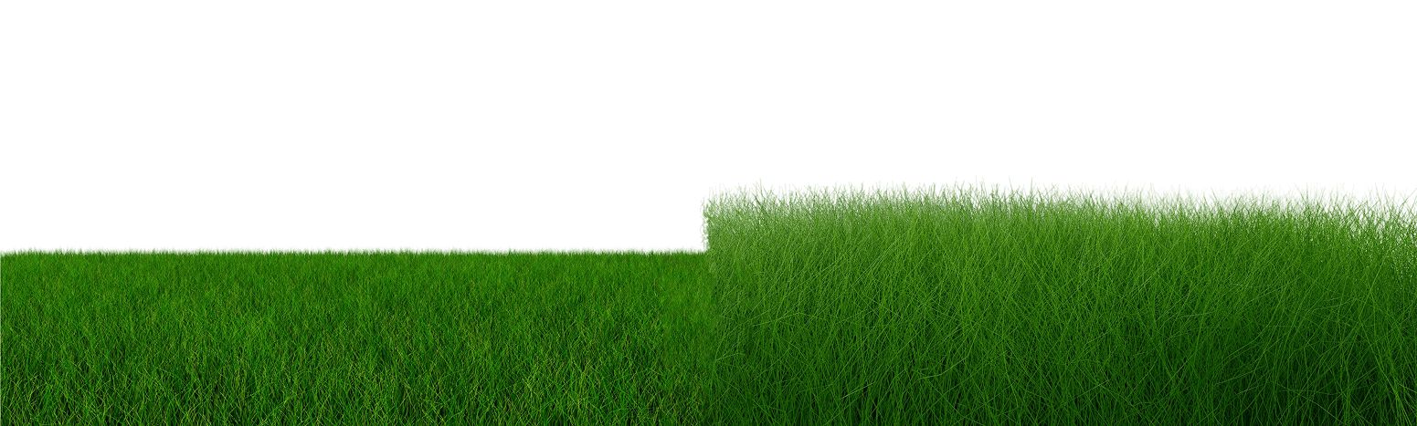 Tosaerba Sigma - Un prato perfetto in metà tempo.